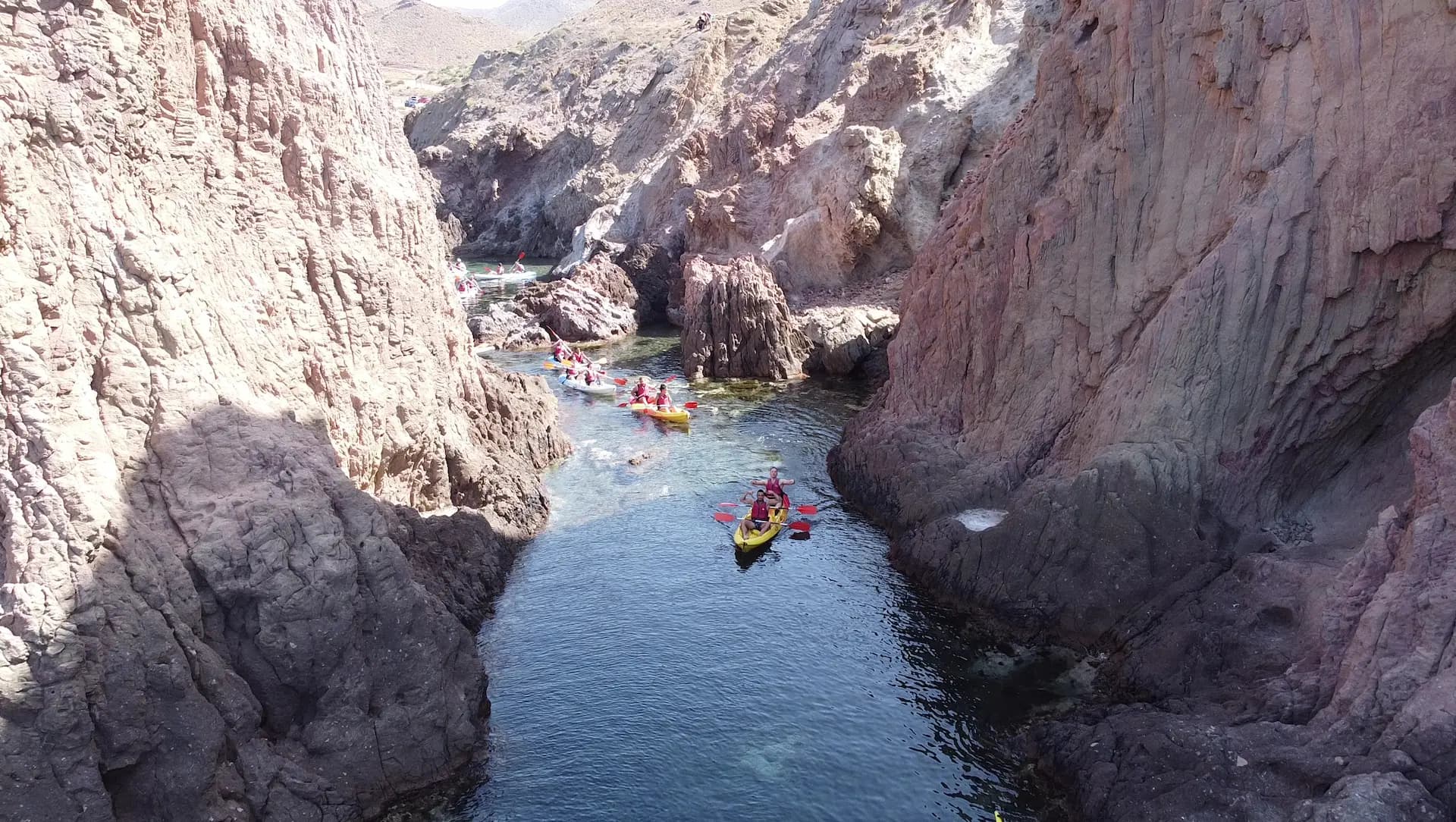 Delfín mular saltando junto a un kayak en el Parque Natural Cabo de Gata con el faro al fondo